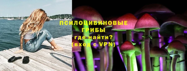 apvp Волоколамск