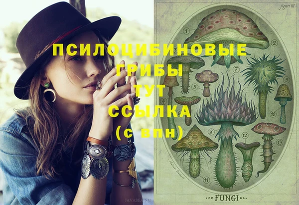 ГАЛЛЮЦИНОГЕННЫЕ ГРИБЫ Володарск