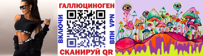 Купить где  Облучье  Галлюциногенные грибы Psilocybe 
